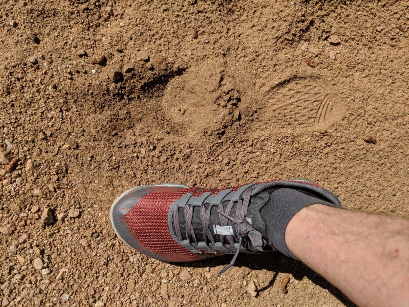 merrell trail glove 5 - even ground contact in the heel and forefoot, but not much...