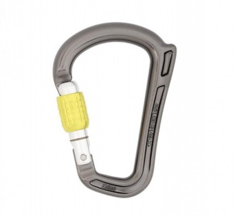 Lead photo for DMM Rhino