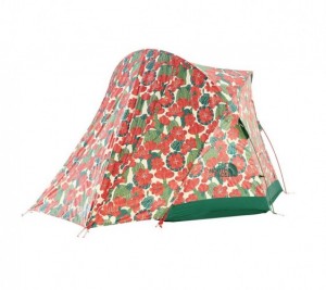 Product photo of The North Face Homestead Super Dome 4