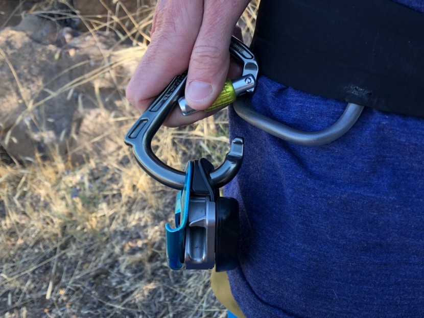 dmm rhino - due to the horn preventing a grigri from rotating around the locker...