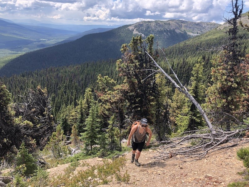 smartwool phd pro light crew - hiking steep trails? long backpacking trips? this sock will perform...