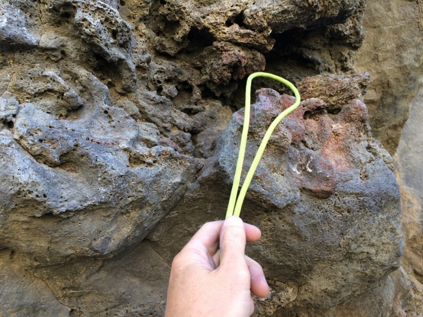 edelrid aramid cord sling - you can see that the stiffness of this cord allows it to retain its...