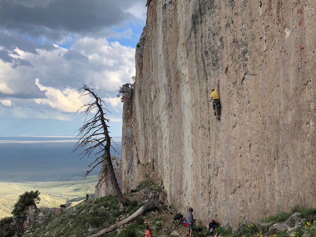 dmm alpha sport quickdraw - attempting a project at the fins where we specifically hung the dmm...