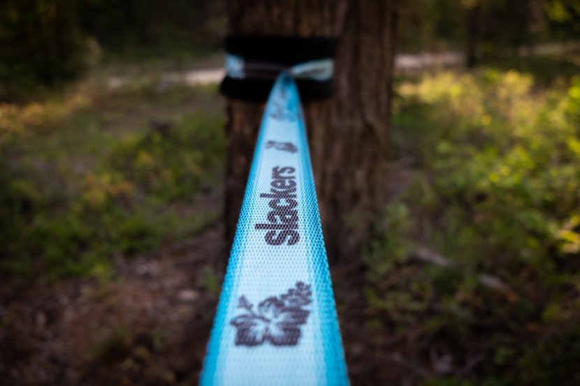 slackers wave walker - the webbing detail was not textured.