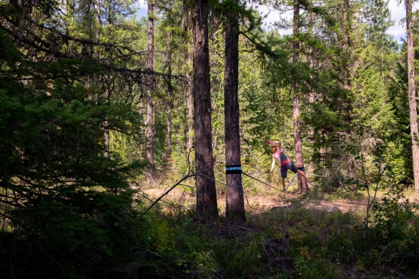 slackers wave walker - though not our favorite, this line has a good feel and is fun to...