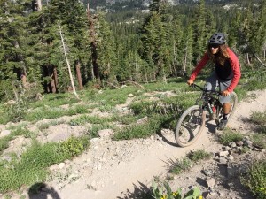 Lead photo for Best Alloy Handlebar for Vibration Dampening