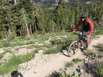 Lead photo for Best Alloy Handlebar for Vibration Dampening