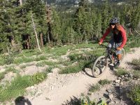 Best Alloy Handlebar for Vibration Dampening