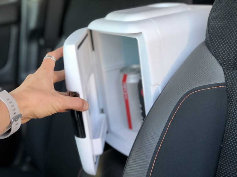 best thermoelectric cooler for car