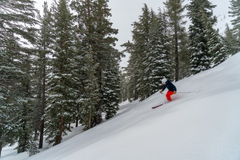 blizzard sheeva 10 - powder is where this ski has the most fun.