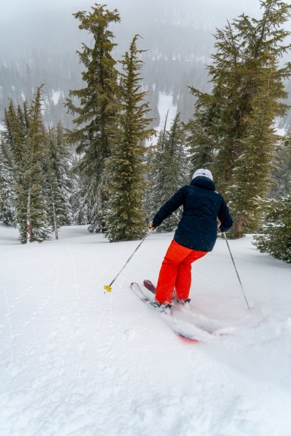 blizzard sheeva 10 - the wide 102mm waist plus rockered tips and tails help the sheeva...