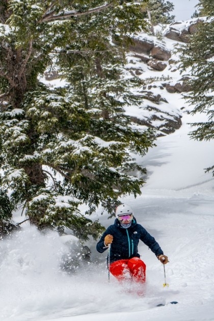 volkl secret 92 - especially for something so skinny in the waist at 92mm, we were...