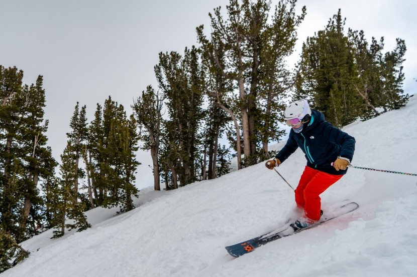 volkl secret 92 - their ease of turning and agility made them great bump buddies.