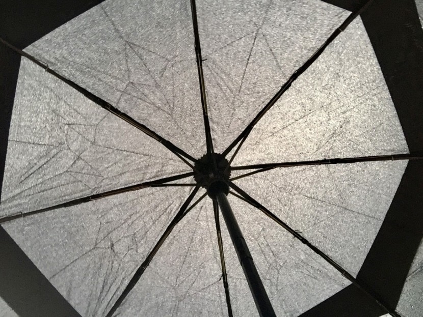 in the sun, the polyester isn't as opaque as we would have liked...