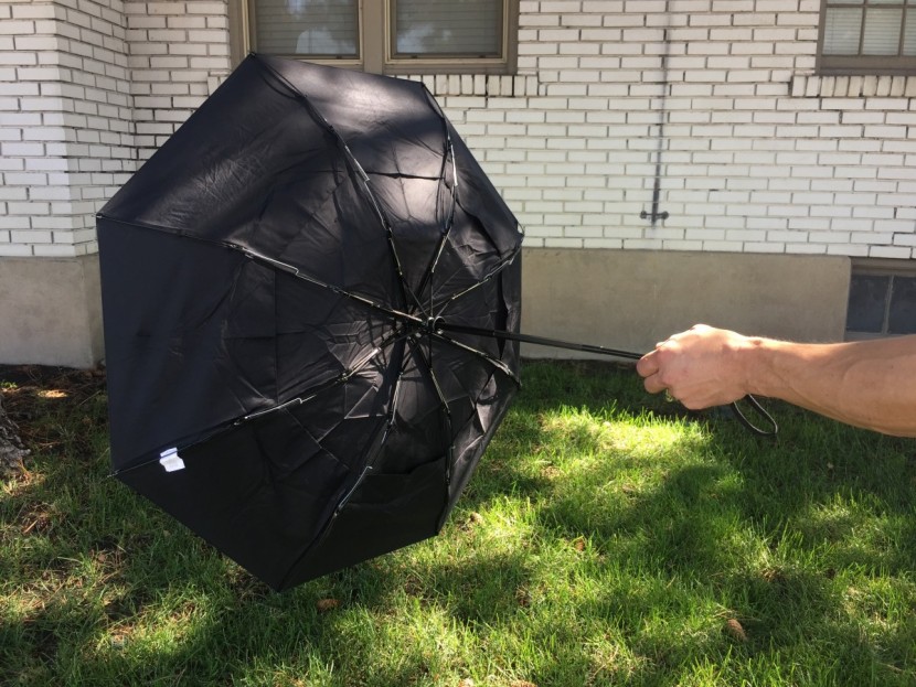 we purposefully forced the amazon to flip inside-out. we are happy...