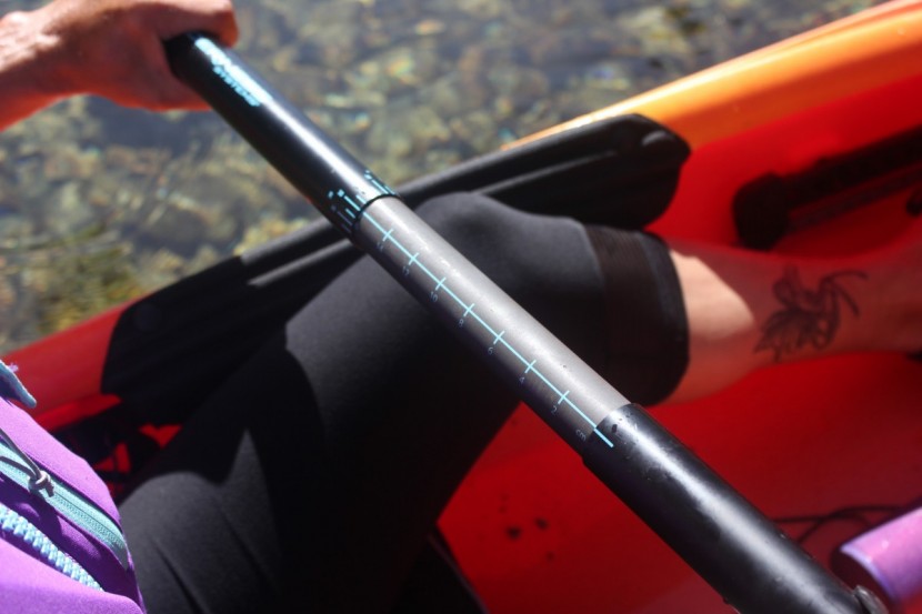 kayak paddle