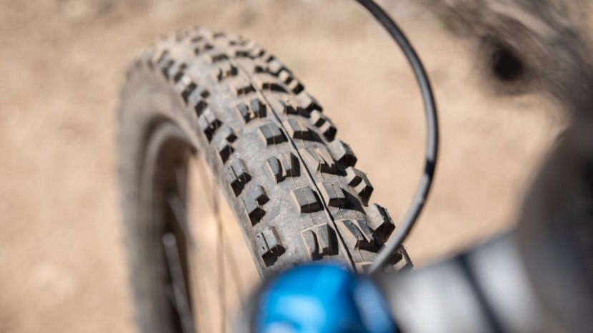 business up front with the 29 x 2.5" maxxis minion dhf.