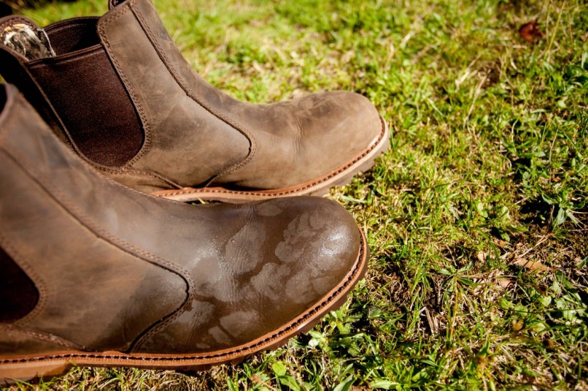 the original muck boot waterproof chelsea - you can see how the front boot has soaked up some moisture compared...