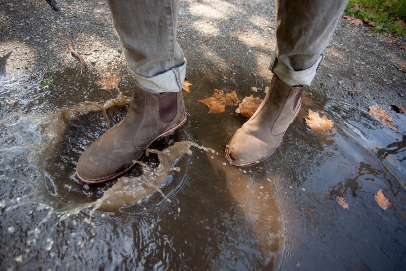 the original muck boot waterproof chelsea - we love splashing through puddles in pseudo-dress shoes