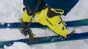 Product photo of G3 Zed 12