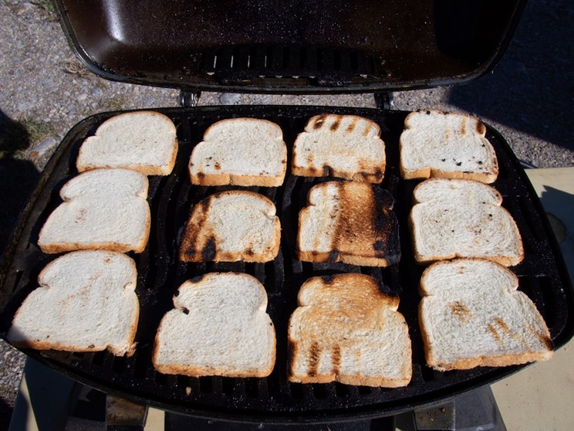 napoleon travelq 285 - the heat distribution on the editors choice, as illustrated by our...