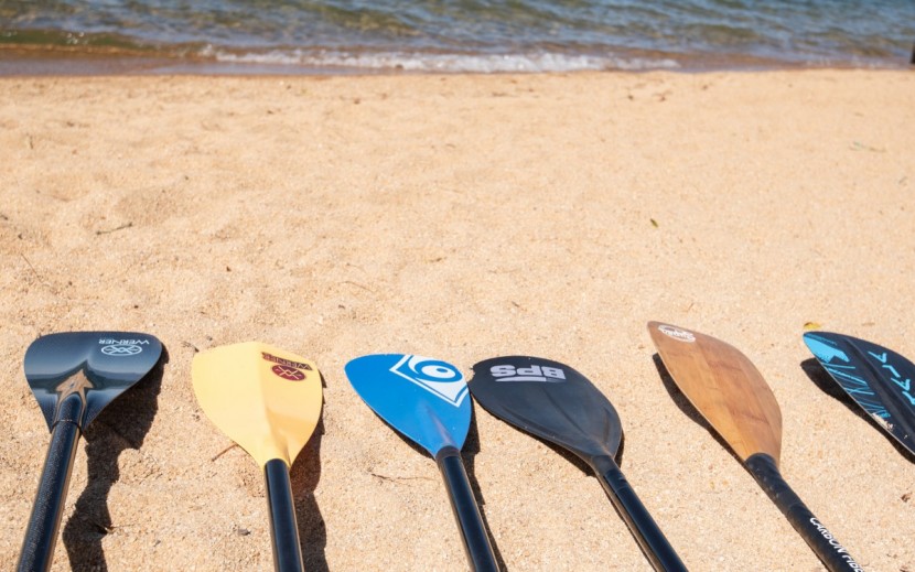 sup paddle - an assortment of different blade shapes and types.