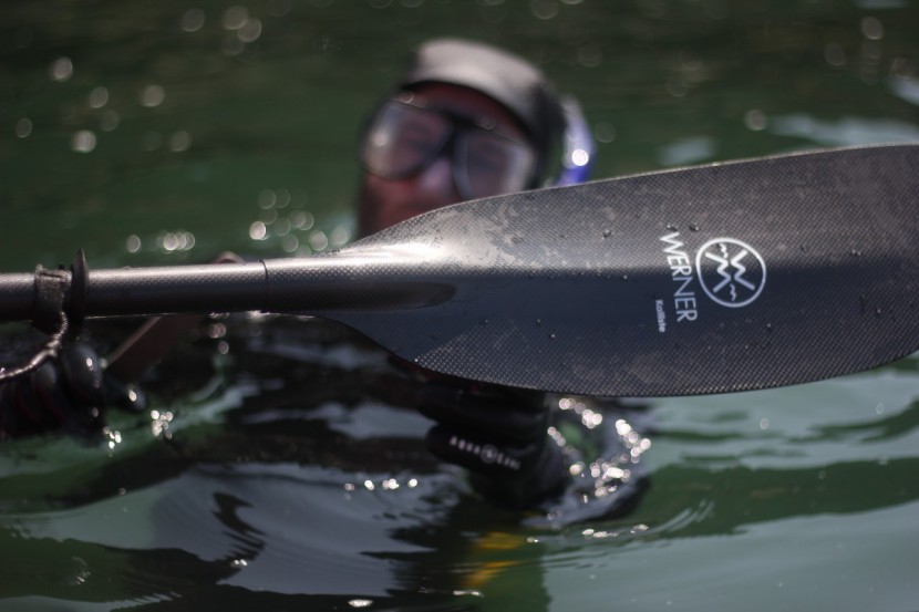 kayak paddle - the feel this well-designed carbon paddle is exceptional