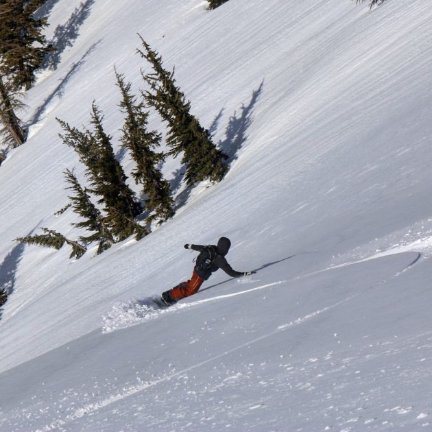 splitboard - buttery and playful turns are often benefits of softer flexing...