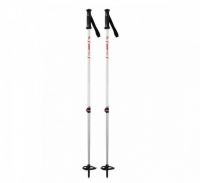 backcountry ski poles