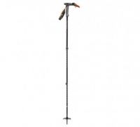 backcountry ski poles
