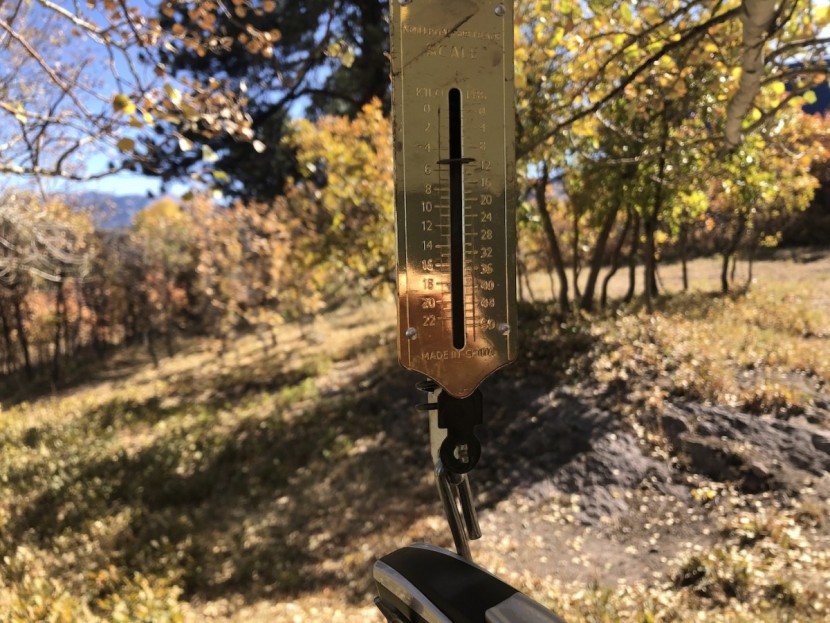 american tourister moonlight spinner 28 - a look at the weight of this suitcase on our spring scale.