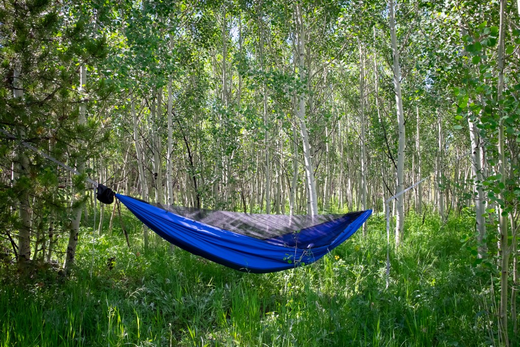 Chameleon hammock clearance