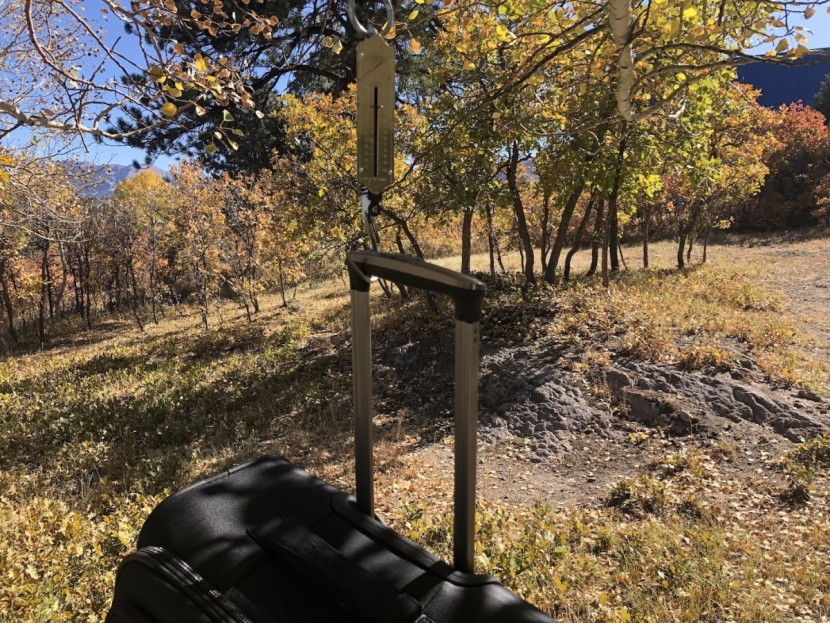 travelpro platinum magna 2 26&quot; - this case expertly balances weight, durability, and performance.