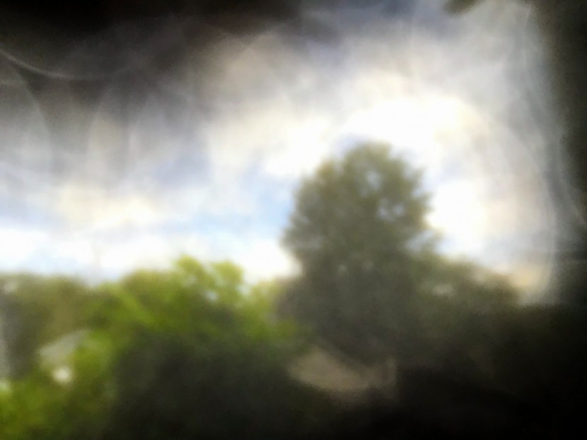 marmot limantour short - these shorts have a ton of stretch. this photo was taken covering...