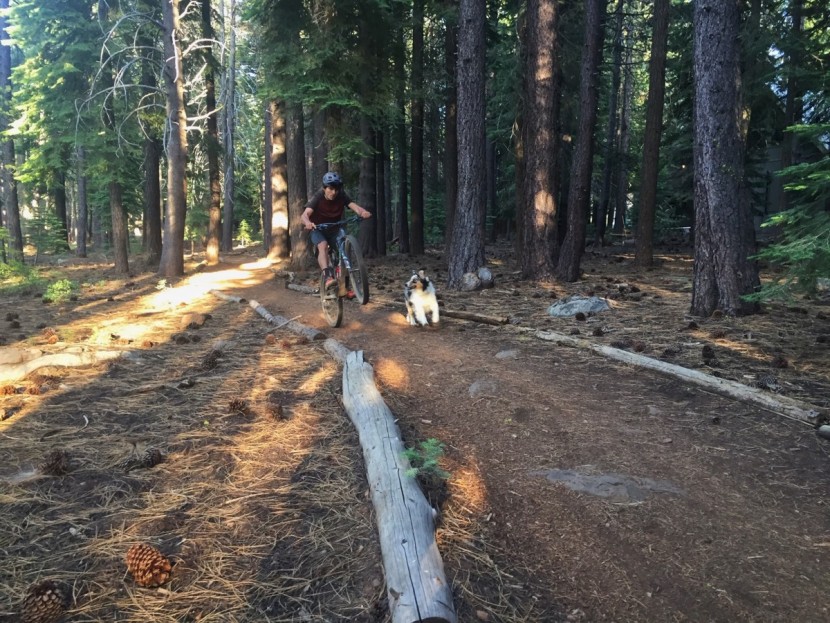 five ten kestrel pro boa - whether you&#039;re doing dog rides in the backyard or attacking the...