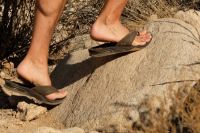 We flip and flop our way up all kinds of surfaces to find the most...