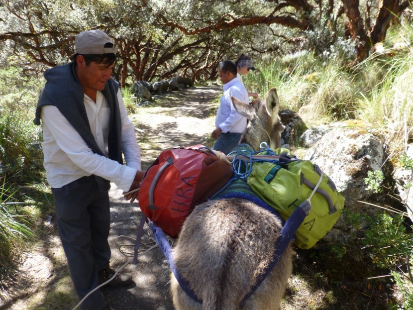 luggage - if your travels involve strapping your luggage to a donkey, as it...