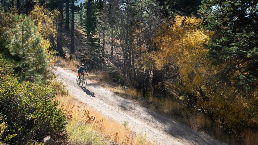 salsa journeyer apex 1 700 - if you&#039;re interested in getting into gravel riding and you&#039;re...