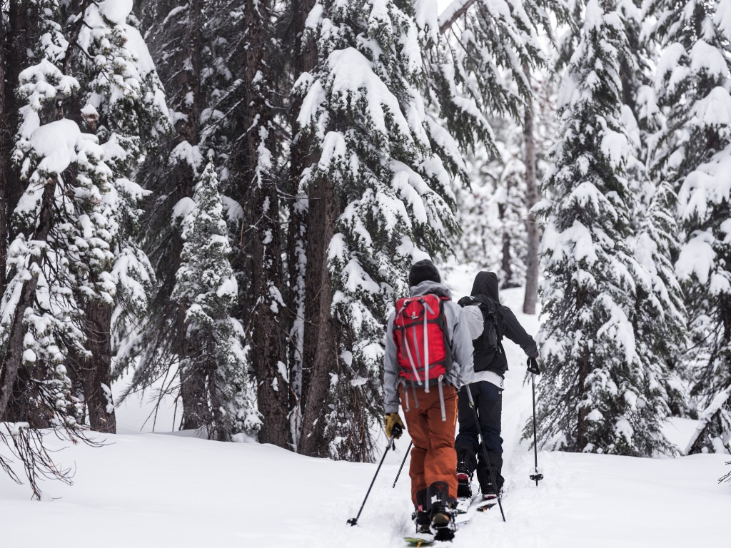 splitboard bindings - bindings that provide efficient uphill travel and transitions have a...