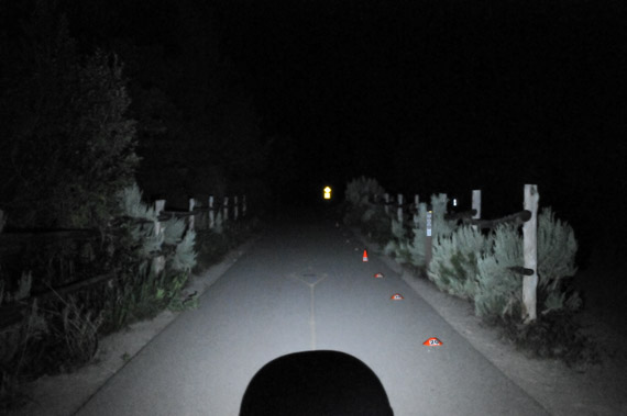 Beam photo of Black Diamond Ion