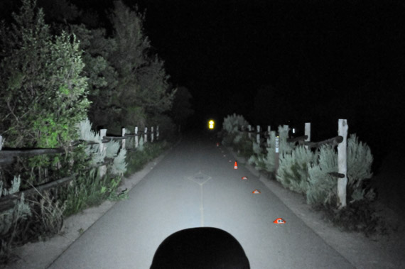 Beam photo of Petzl Actik