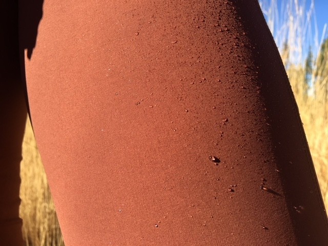 arc&#039;teryx sabria pant - these pants have a dwr finish, that does a great job repelling water.