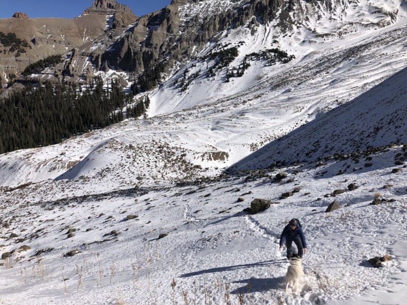 rab xenon hoodie for women - jack the dog and our main author loves this jacket, making it a top...