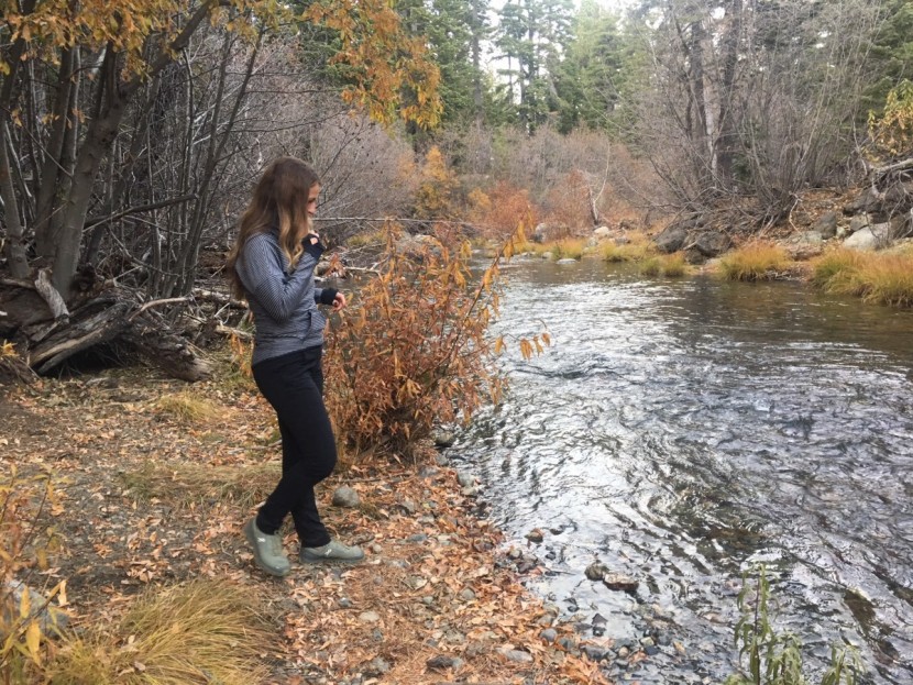 columbia anytime outdoor pull-on for women - they don&#039;t have the same technical features as other pants in our...