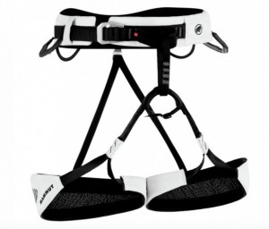 Product photo of Mammut Alnasca
