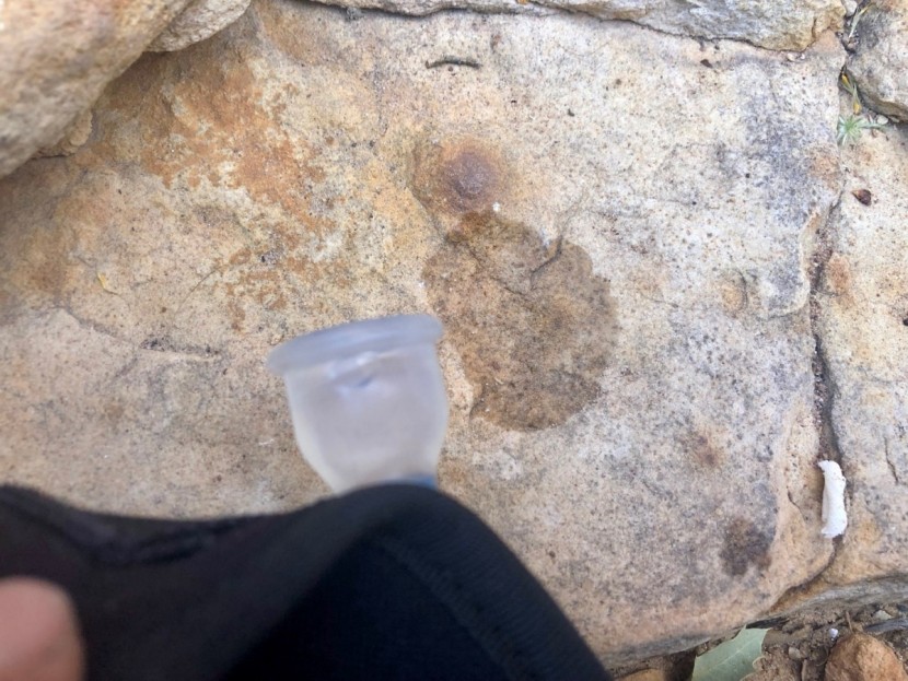 platypus hoser - a product of the valve leaking after we put our pack down on a rock...