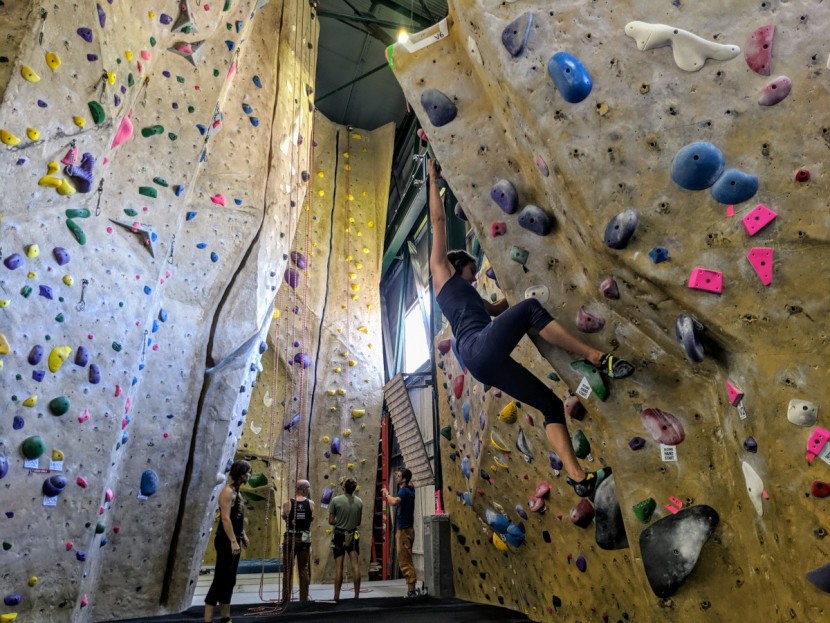 scarpa arpia for women - these shoes are a great all-arounder for an introductory climber -...