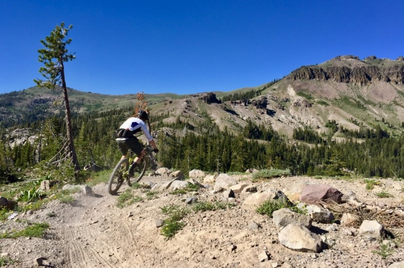 pnw components bachelor ir - we put some serious test time on the bachelor. for the price, its...