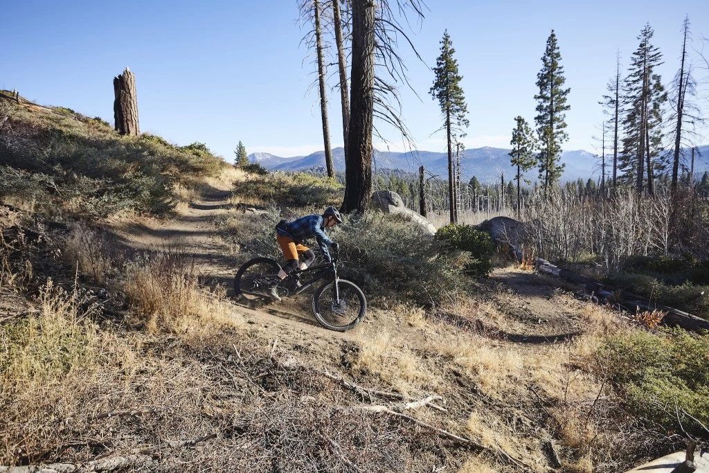 trek fuel ex 8 trail mountain bike review - the new fuel is more capable on the descents than ever. the geometry...