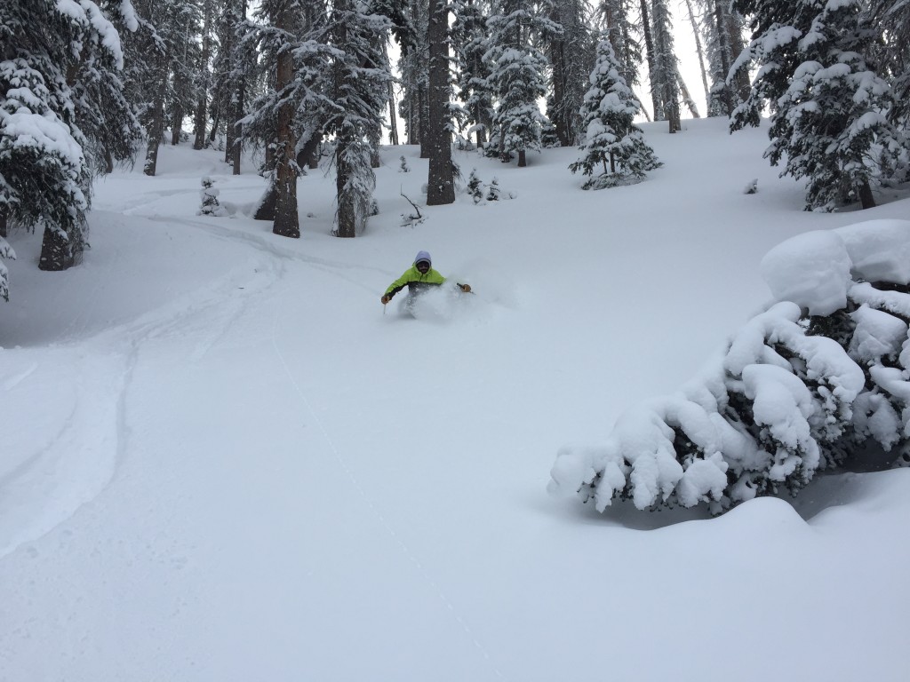 flylow lab coat - deep powder and cold temps were the settings for most of this ski...